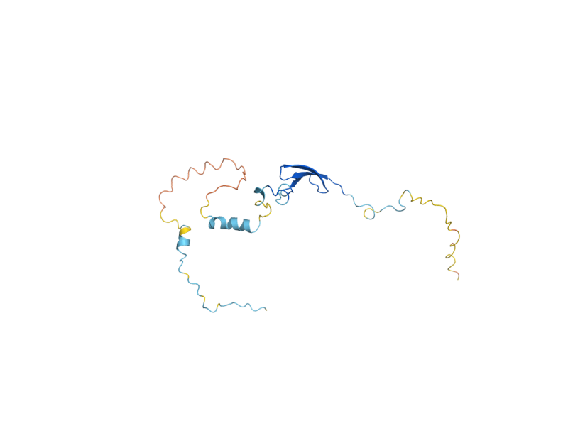 AlphaFold predicted structure of MRPL36