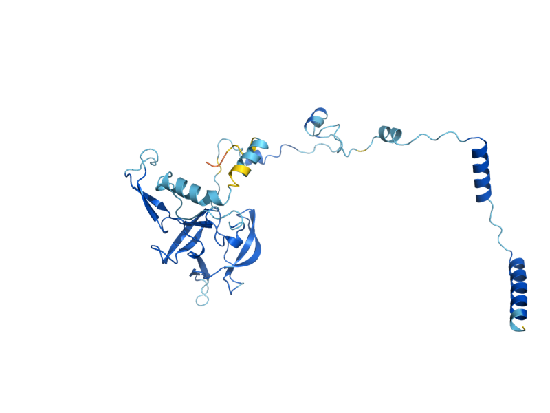 AlphaFold predicted structure of MRPL40