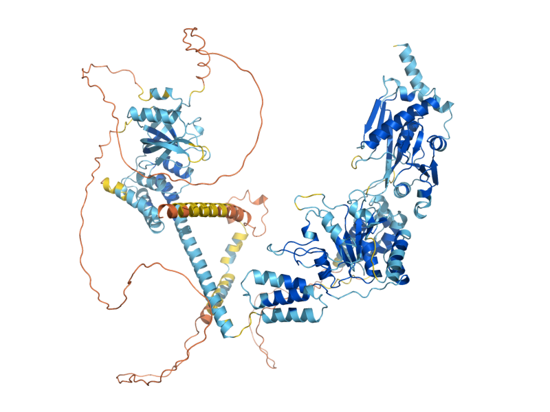 AlphaFold predicted structure of PIM1