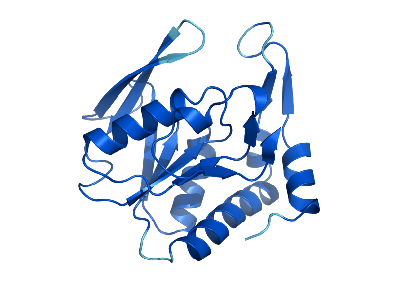 AlphaFold predicted structure of APT2