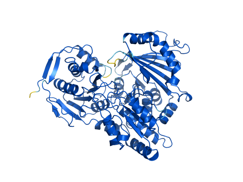 AlphaFold predicted structure of PGM2