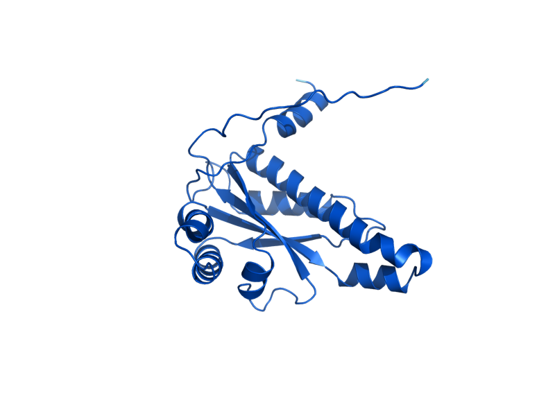 AlphaFold predicted structure of FRM2