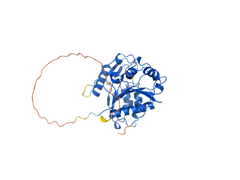 AlphaFold predicted structure of SOL2