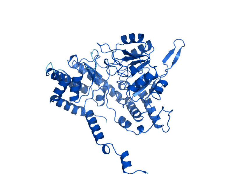 AlphaFold predicted structure of SHM2