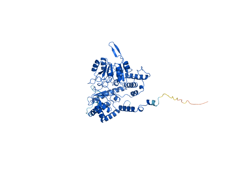 AlphaFold predicted structure of SHM1