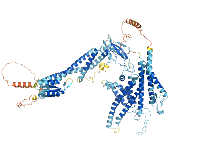 AlphaFold predicted structure of STV1