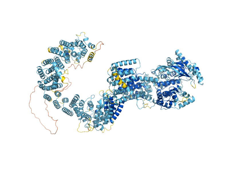 AlphaFold predicted structure of STT4