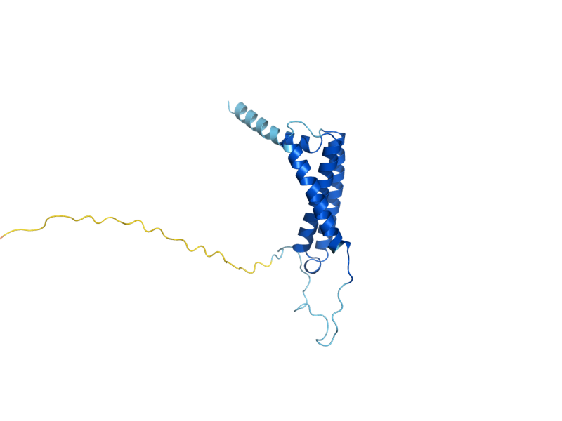 AlphaFold predicted structure of SDH4