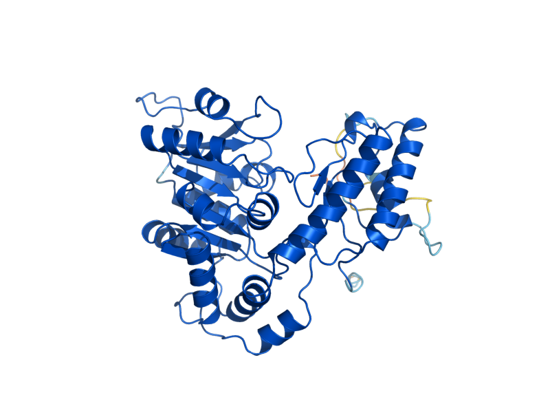 AlphaFold predicted structure of GLY1