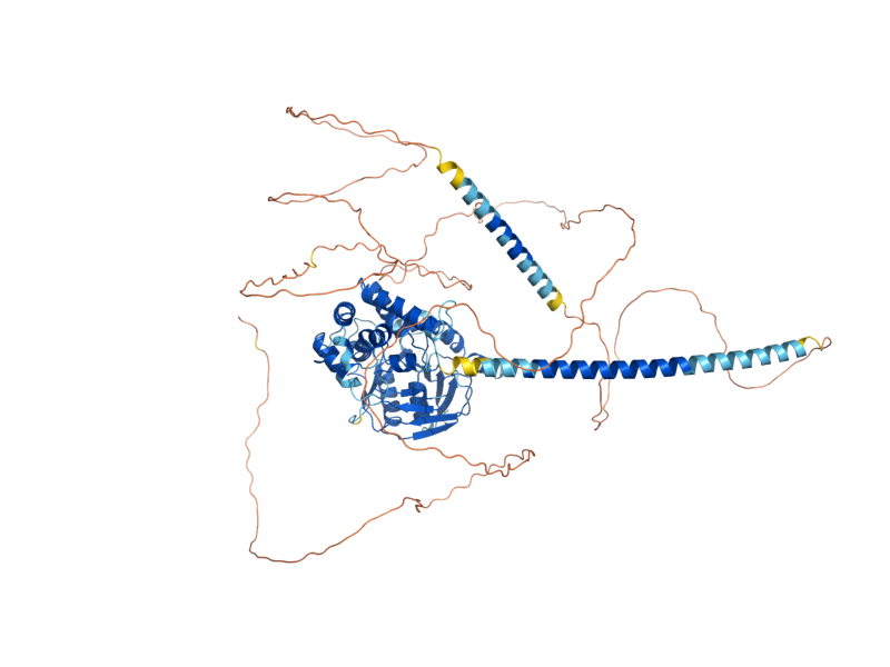 AlphaFold predicted structure of PAM1