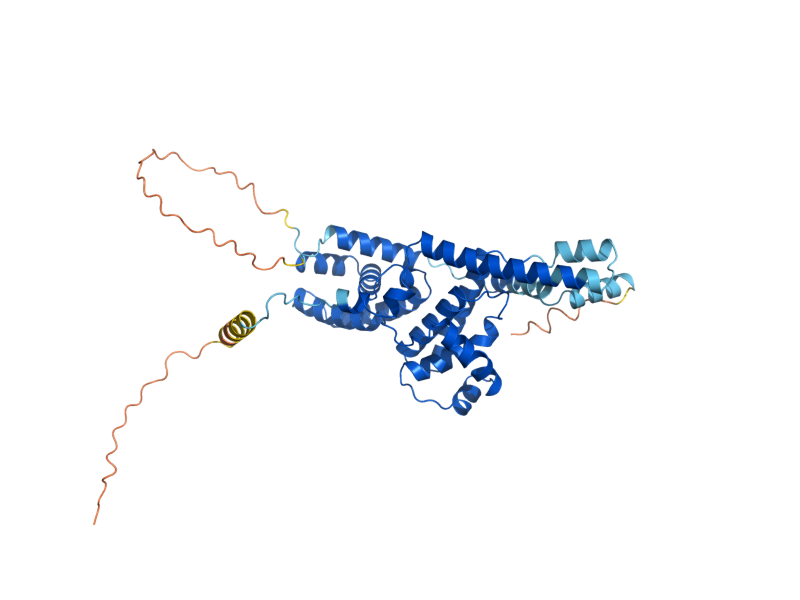 AlphaFold predicted structure of CCL1