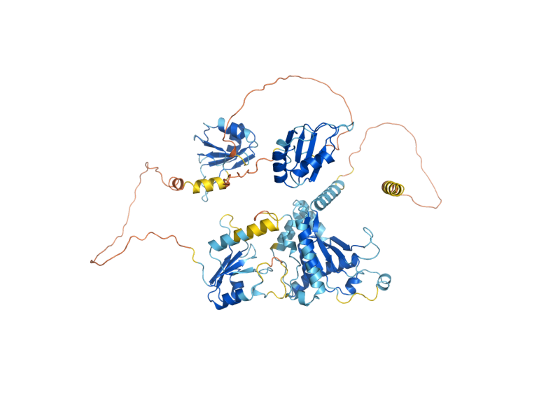 AlphaFold predicted structure of NOP4