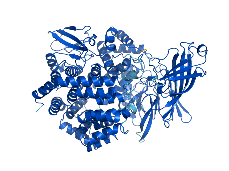 AlphaFold predicted structure of AAP1