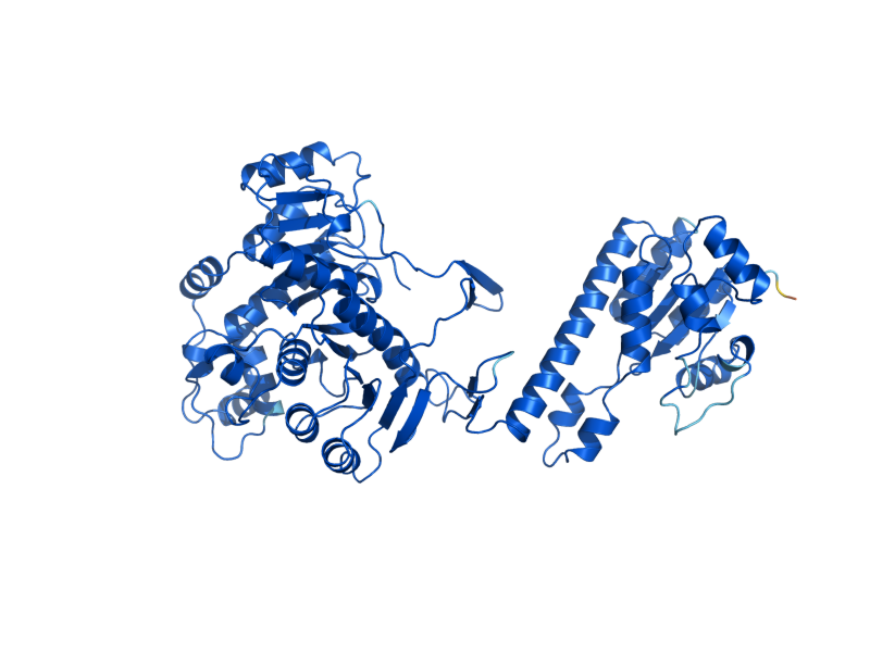 AlphaFold predicted structure of ADE17