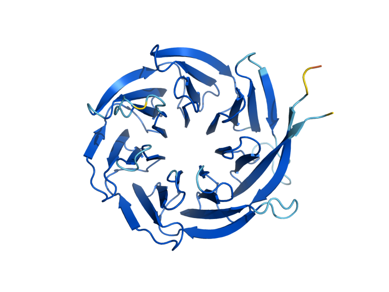 AlphaFold predicted structure of ASC1