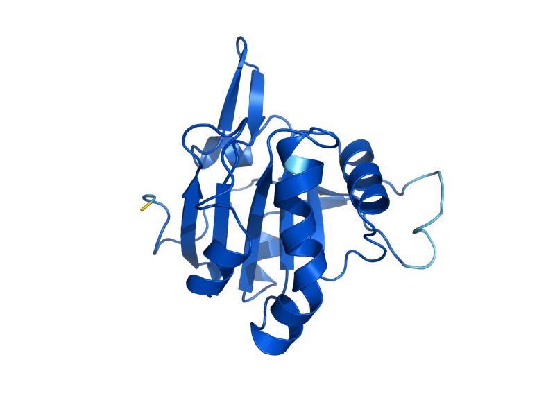 AlphaFold predicted structure of AHP1