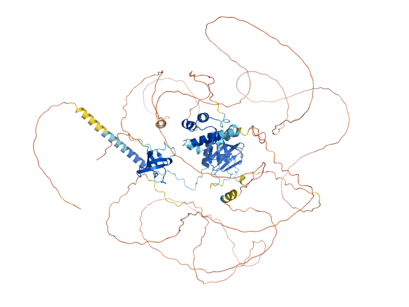 AlphaFold predicted structure of BOI1