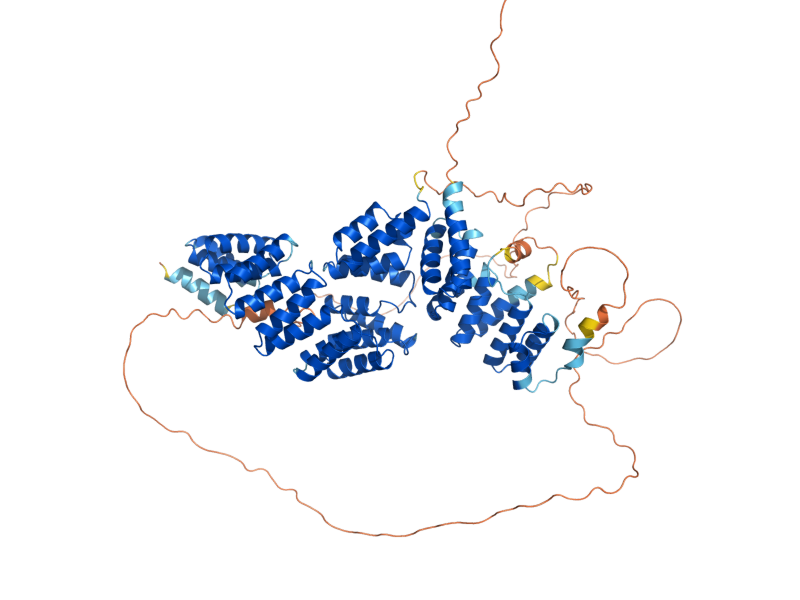 AlphaFold predicted structure of CDC27