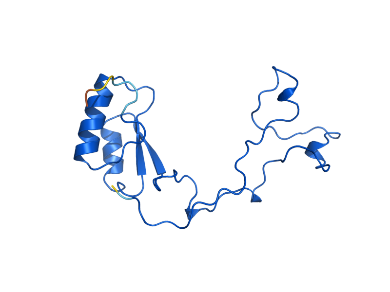 AlphaFold predicted structure of RPL32