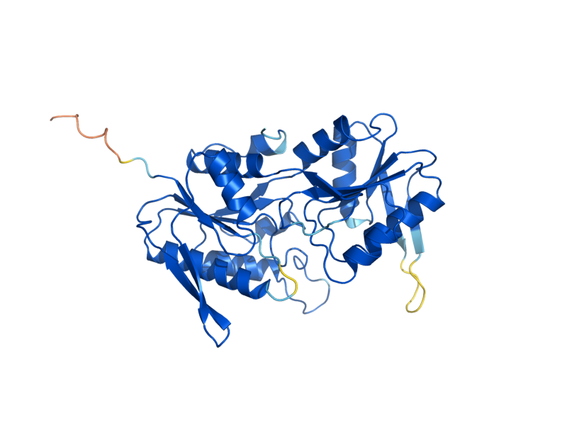 AlphaFold predicted structure of PRS4