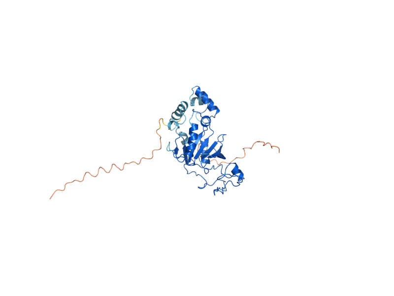 AlphaFold predicted structure of RIB1