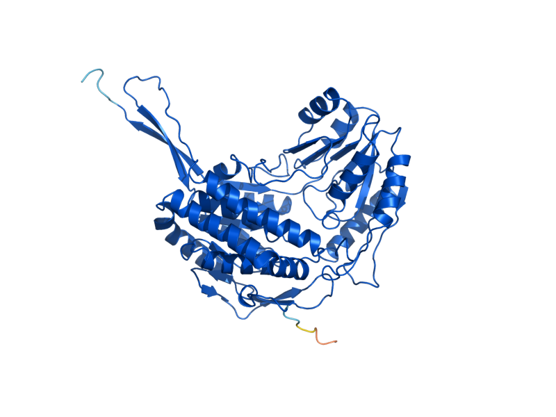 AlphaFold predicted structure of UGA2