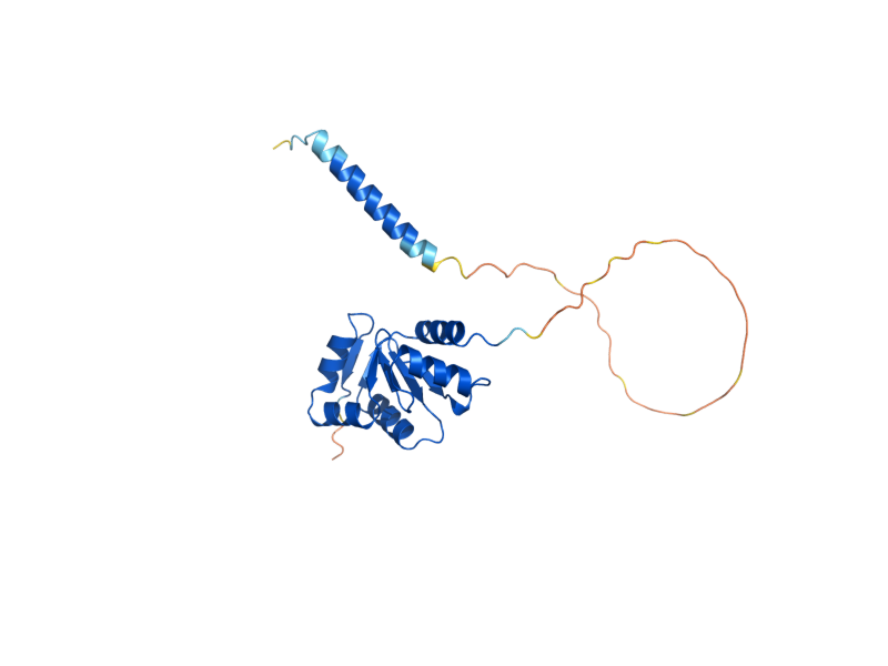 AlphaFold predicted structure of GRX7