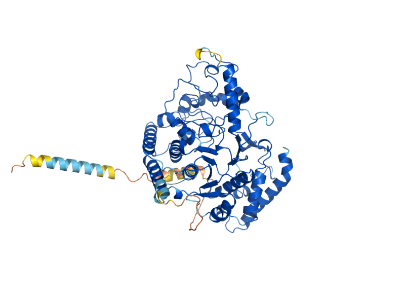 AlphaFold predicted structure of MNN2