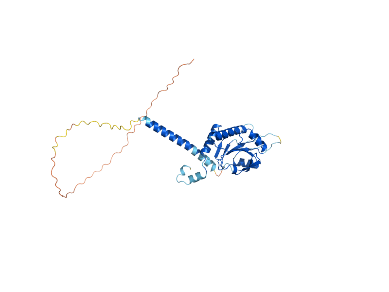 AlphaFold predicted structure of SCO2