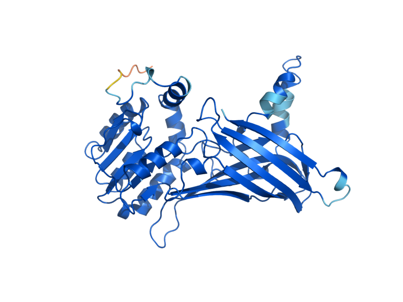AlphaFold predicted structure of HMT1