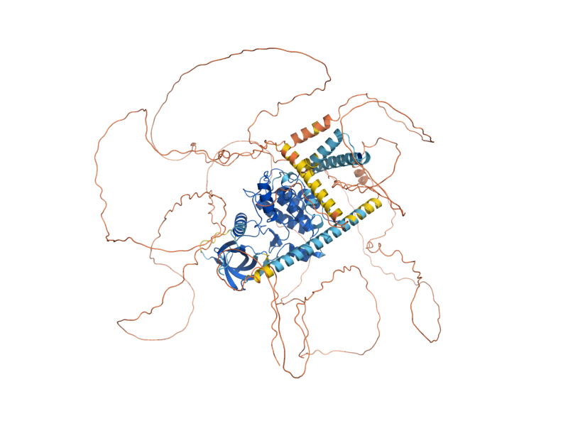 AlphaFold predicted structure of AKL1