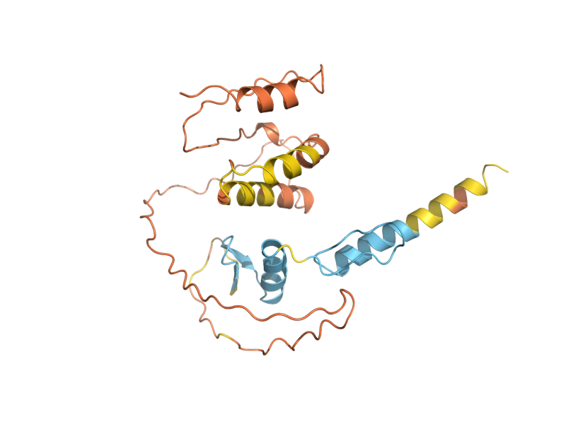 AlphaFold predicted structure of NRG2