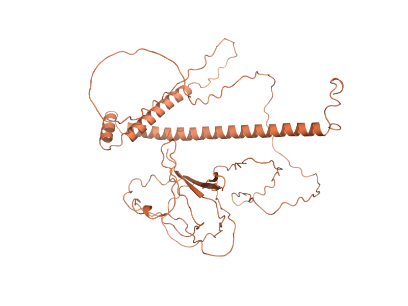 AlphaFold predicted structure of CNM1