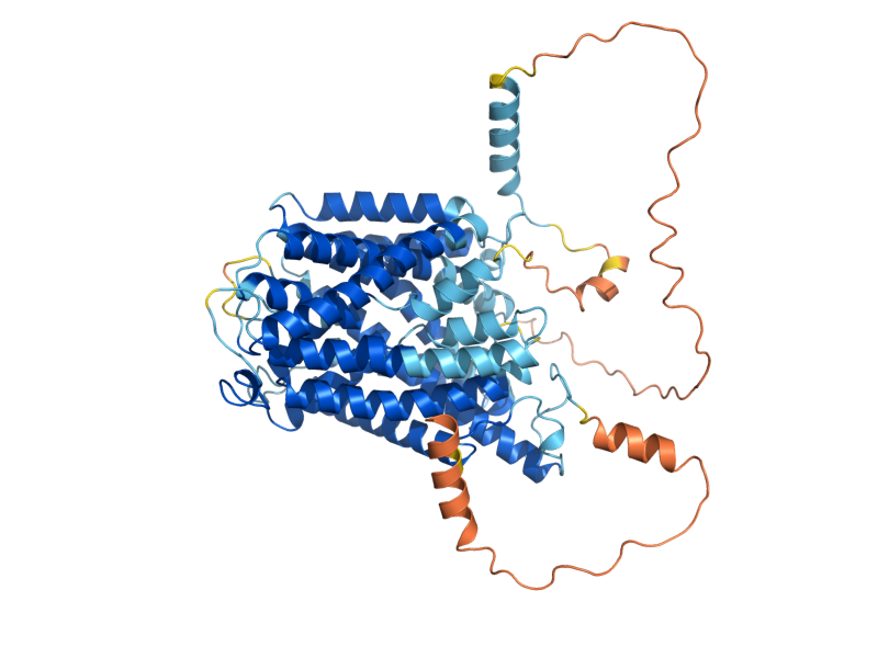 AlphaFold predicted structure of TAT1