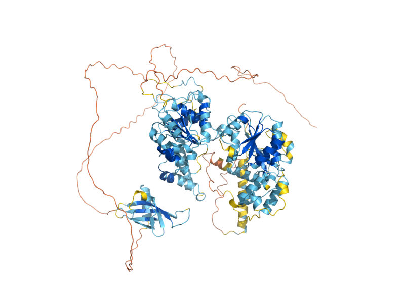 AlphaFold predicted structure of RDH54