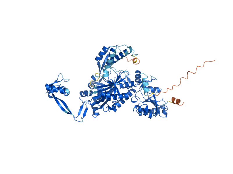 AlphaFold predicted structure of GRS1