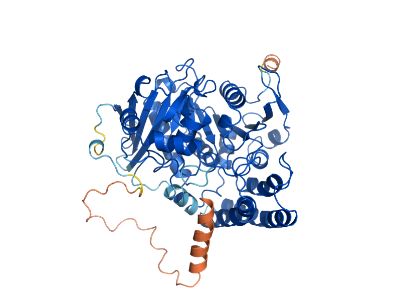 AlphaFold predicted structure of ATG42