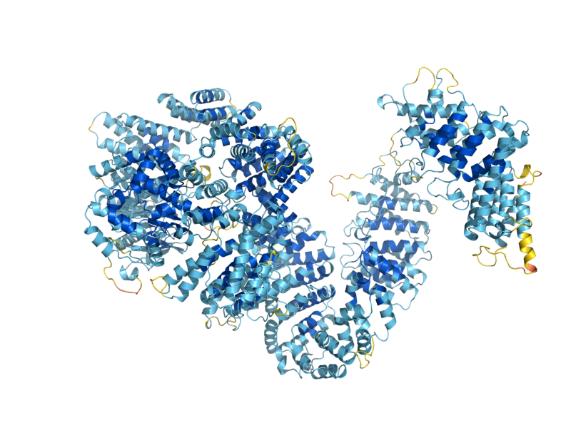 AlphaFold predicted structure of MEC1