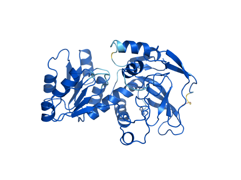 AlphaFold predicted structure of ADH5