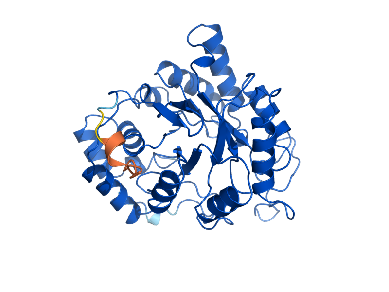 AlphaFold predicted structure of ARA1