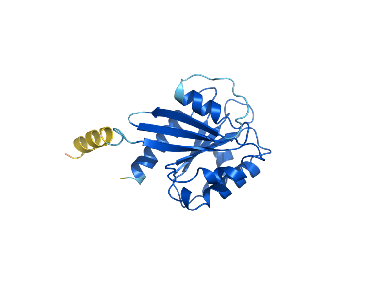 AlphaFold predicted structure of ARL1