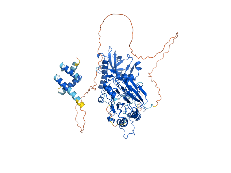 AlphaFold predicted structure of POL12
