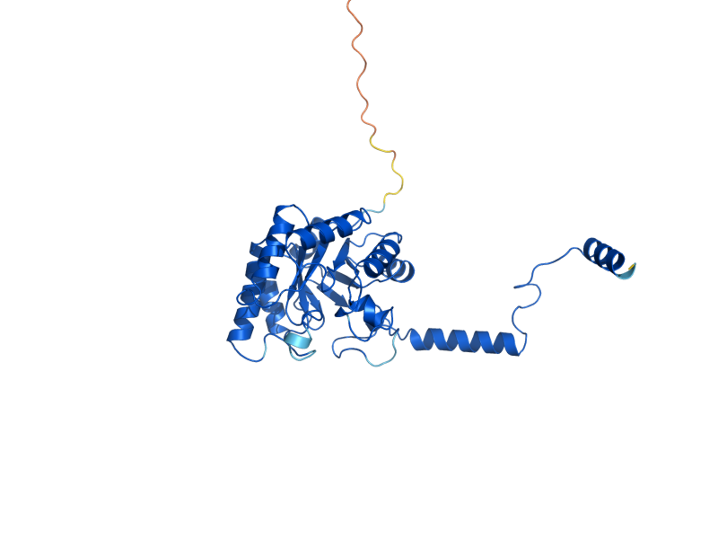 AlphaFold predicted structure of ECM31