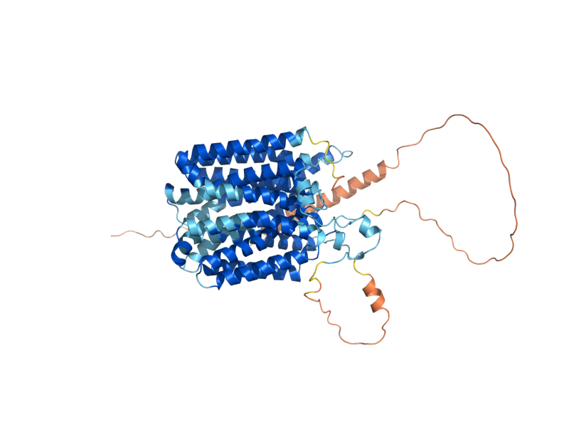 AlphaFold predicted structure of DTR1