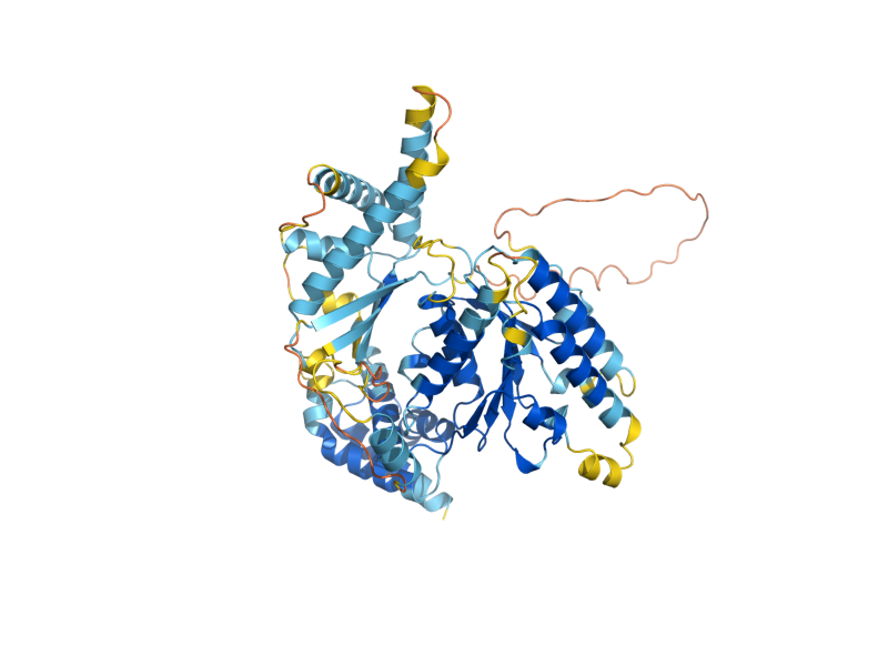 AlphaFold predicted structure of PCH2