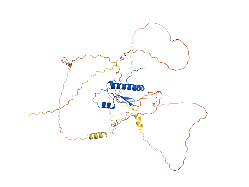 AlphaFold predicted structure of SMP1