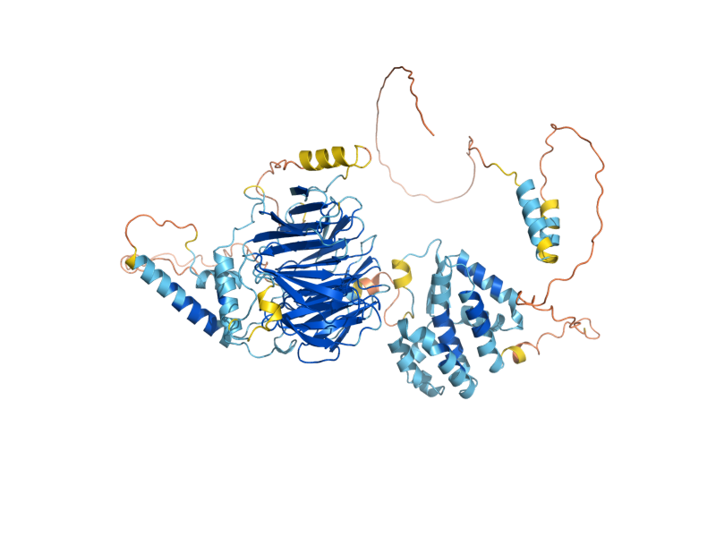 AlphaFold predicted structure of TAF5