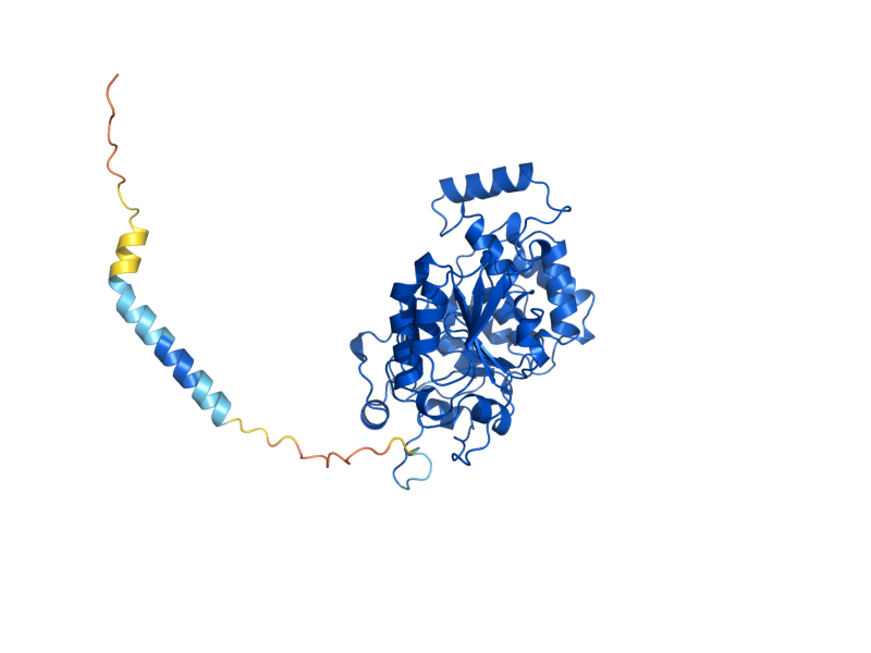AlphaFold predicted structure of KTR3