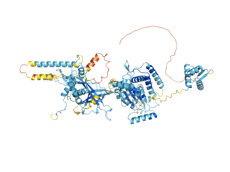 AlphaFold predicted structure of MCM7