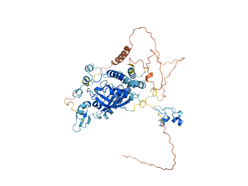 AlphaFold predicted structure of ERT1